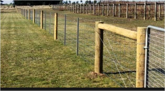 rural fence cattle